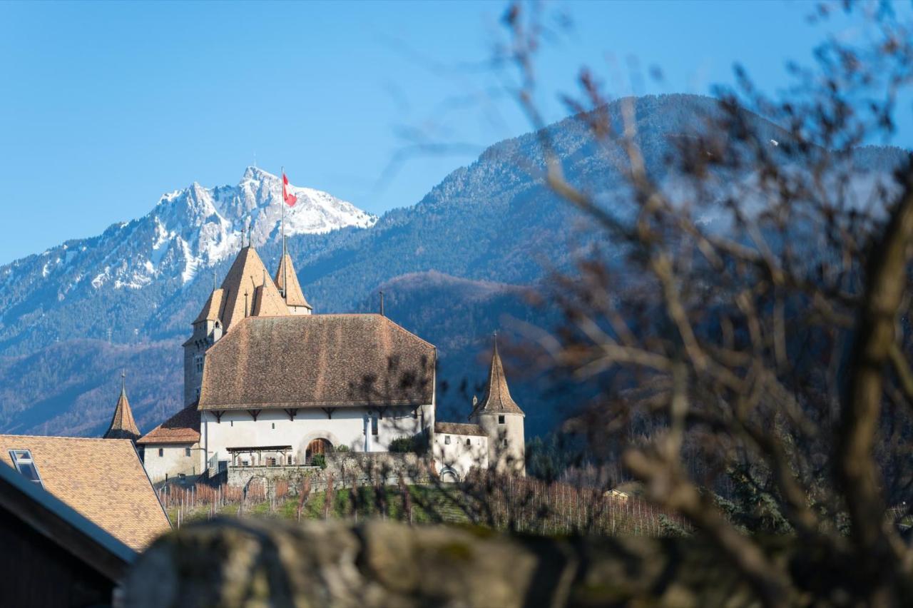 Nonanteneuf Appart Hotel Aigle - Contactless Check-In 외부 사진